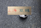 国足3比0马尔代夫 上海双雄海港+申花没一个进首发