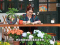 声入湾区：美国女孩的大湾区文化奇遇