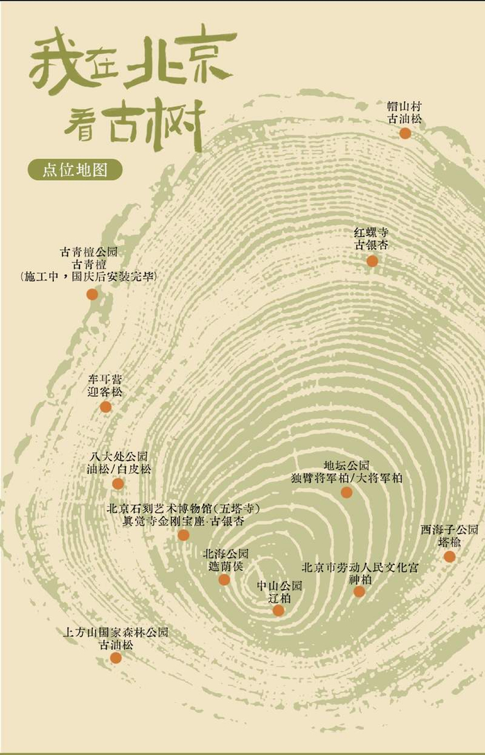 “我在北京看古树”点位图。主办方供图