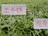 领头羊成都球员分别在国字号进球
