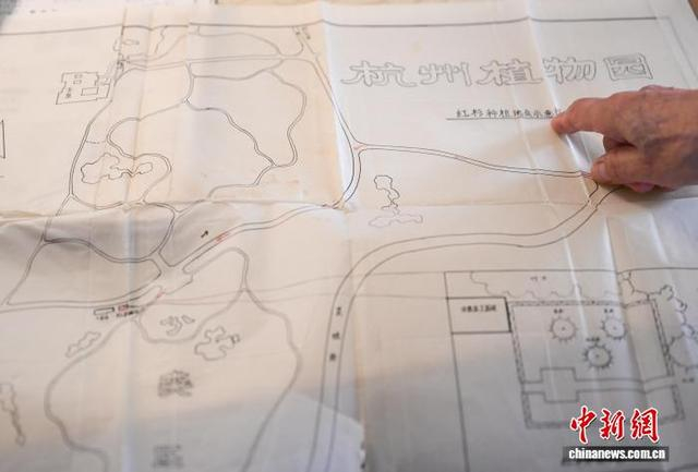 9月25日，曾在浙江省外事办公室接待组工作的陆和森展示尼克松赠送北美红杉的位置示意图。中新社记者 王刚 摄
