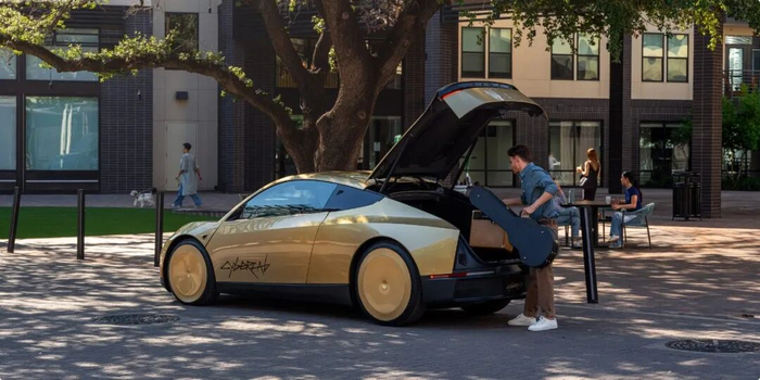 图源 / Tesla Robotaxi官网