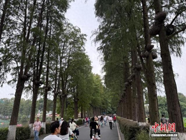 中秋假期，武汉东湖生态旅游风景区吸引游客观光打卡。记者 梁婷摄