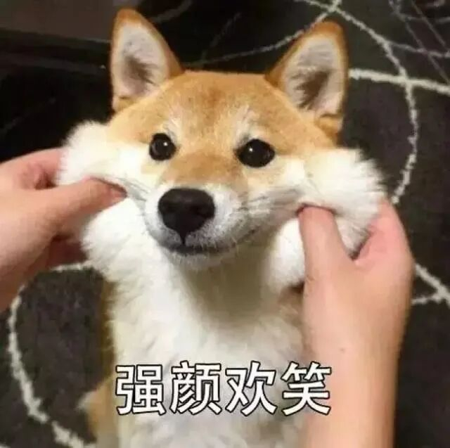 编辑：夏梦晨