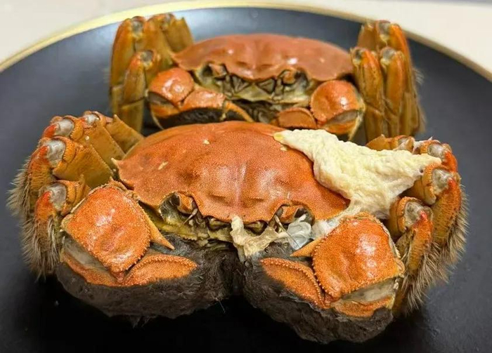 葛致远 摄