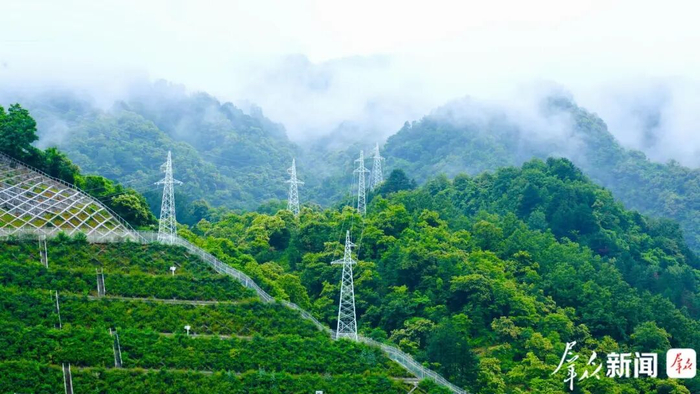 图为9月22日，林立在山间的柞水西站电力铁塔。