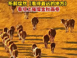 听郝熠然歌声看坝上璀璨金秋画卷