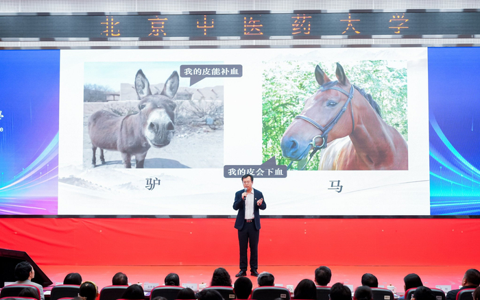 北京同仁堂研究院药物筛选研发中心主任林兆洲分享在中药产业一线做科研的体会。 受访者供图