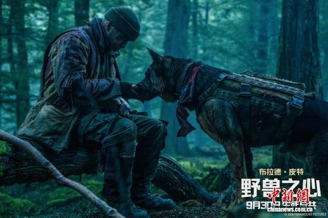影片剧照。片方供图
