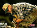 人犬羁绊荒野治愈 布拉德·皮特新片《野兽之心》将映