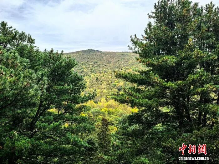 在上甘岭溪水国家森林公园远眺五花山色美景。史轶夫 摄