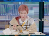 白鹿在美食和美貌间选择了后者