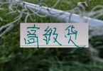 降级主力还会成为豪门抢手货吗？