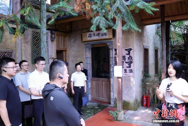 参会人员在熙岭乡龙潭村“47树”调研导师帮带助力文旅产业发展情况。中新网记者 叶茂 摄