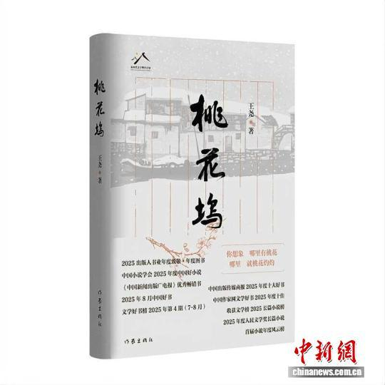长篇小说《桃花坞》。主办方供图