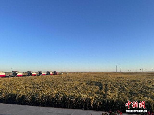 富锦市现代农业万亩水稻科技示范园。 诸葛瑞鑫 摄