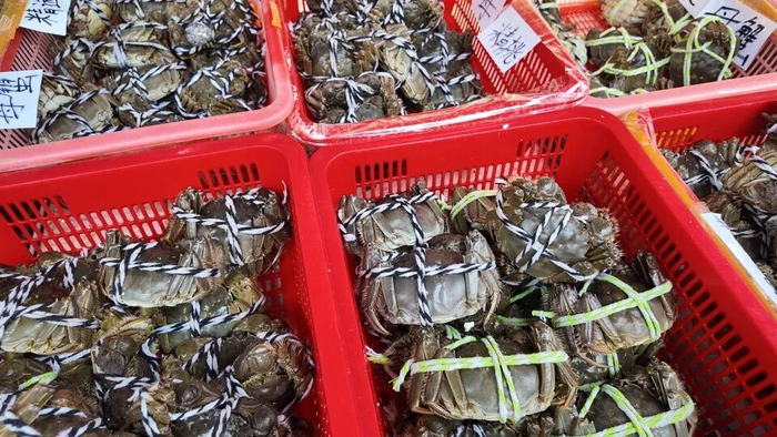 海鲜市场的螃蟹。 图/九派新闻 曾怡婷