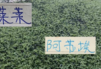 不容易！终于有申花球员拿到官方最佳