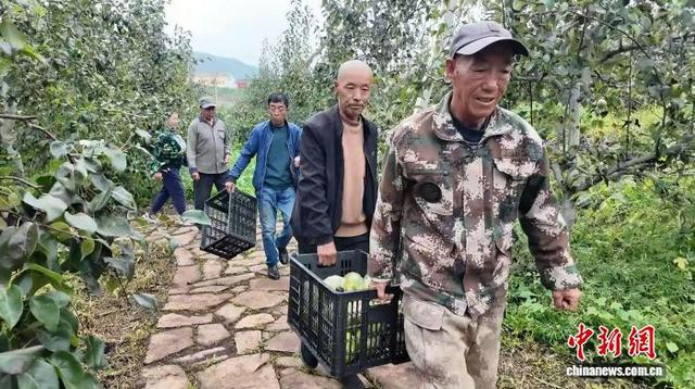 特色林果产业的持续发展，为当地民众搭建起稳定的就业平台。和顺县融媒体中心供图