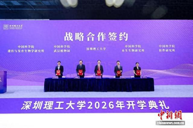 签约现场。彭程 摄