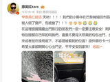 巴黎再响“惊魂记”：惠英红团队遭砸窗抢劫，多位艺人曾遭遇盗抢