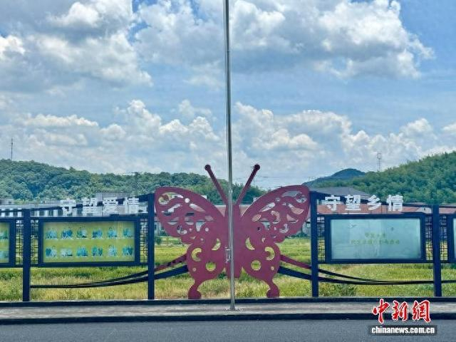 7月29日，浙江绍兴上虞祝家庄村风光。项菁 摄