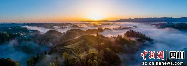茶山美景。赵毅 摄