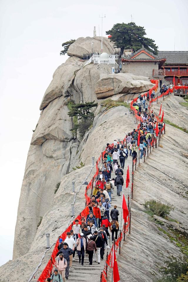 来源：中国青年报客户端