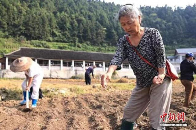 村民播种。赵李明 摄