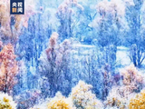 美成仙境！内蒙古赏秋变赏雪