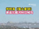 伴梓渝歌声赏秋日浪漫星河