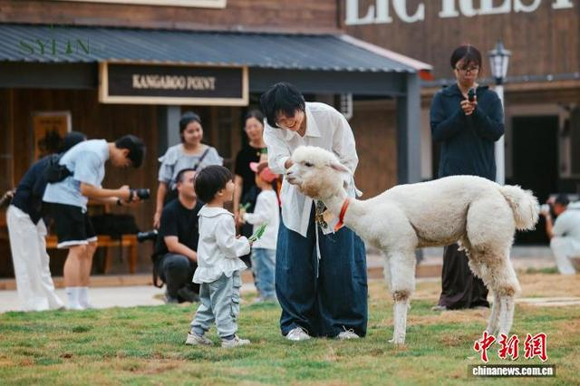 国庆期间，栖息岭·袋鼠岛项目开门迎客。 吴怡婧 摄