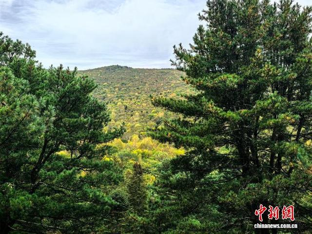 在上甘岭溪水国家森林公园远眺五花山色美景。 史轶夫 摄