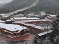比去年早16天！雪乡国庆当天喜提头场雪，半林秋色半林白