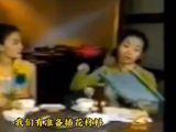 王菲：家务活都不好玩，我不洗碗的