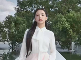 金智秀｜Dior 2027 春夏大秀看秀照