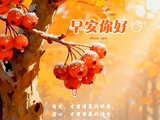 无需急于答案，静待季节自有方向