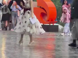 小猫转圈展示自己的小裙子 田曦薇也太可爱了