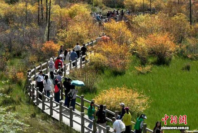 游客在九寨沟景区游览。九寨沟景区管理局供图