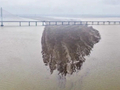 跌破低枯水位线！鄱阳湖水位最新消息