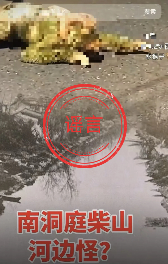 相关视频已被辟谣。
