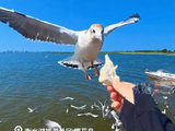 听云旗歌声享受衡水湖治愈感拉满
