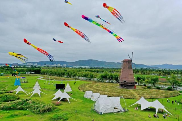 10月2日，游客在浙江省玉环市漩门湾国家湿地公园赏花观景（无人机照片）。 新华社发（段俊利摄）