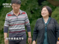 两个十几岁孩子创作的这首歌，几代中国人都会唱！