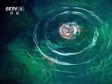 舞蹈《锦鲤》演唱 周深，领舞 华宵一