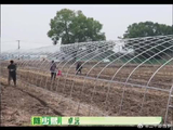 我再重复一遍，鹭卓的卓是笨拙的拙，卓沅的卓是卓越的卓！