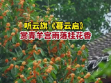 听云旗暮云启赏雨落桂花香