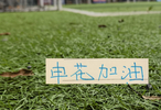 10月10日跟云南玉昆比赛 申花国字号球员谁能上场
