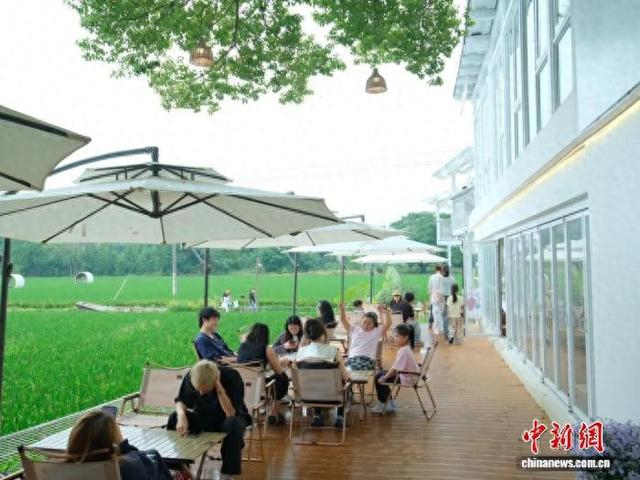 游客在稻田边品尝咖啡。海宁市委宣传部供图