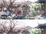 兰香如故爆火是肯下笨功夫的诚意